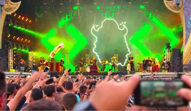 Cum a evoluat industria muzicală românească în ultimii ani