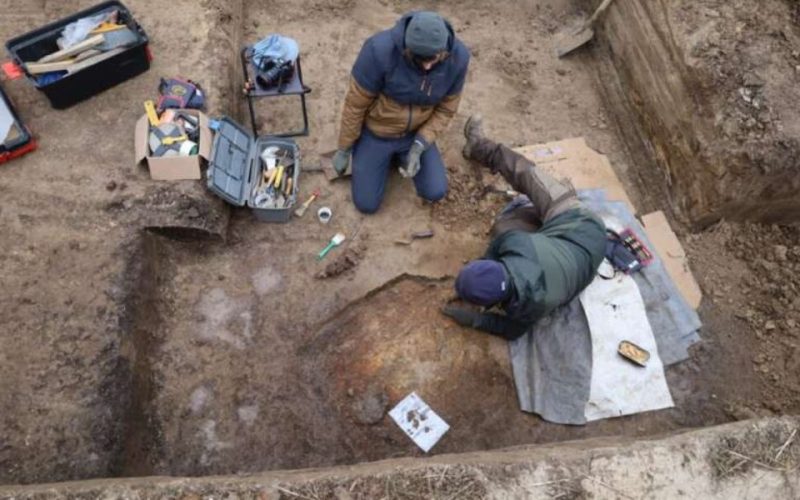 Care sunt cele mai recente descoperiri în domeniul arheologic din România