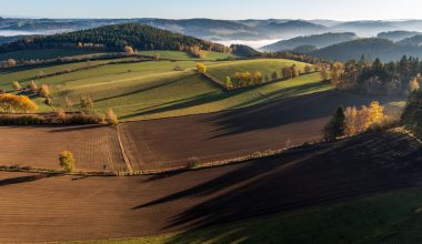 Ce rol joacă agricultura în economia României