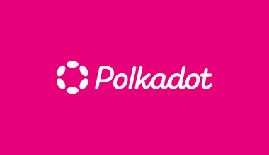 Ce sunt fishermanii în ecosistemul Polkadot